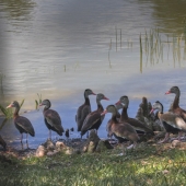 Roberta London - "End of Day” – http://www.robertalondonphotography.com/