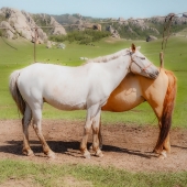 Erin Wang - "Relying” – http://www.erinwangyy.com/