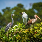 Joe Bucherer – “Blah Blah” – http://joebuchererphotography.com/