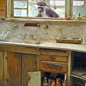 Carol Lyon – “House Frau” – http://www.carollyon.com/