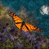 Petras Paulauskas – “Seeking a Better Life” – https://www.saatchiart.com/pitofotos_prints