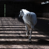 Alyson Betz - "Towards the Light” – https://alysonbetzphotography.myportfolio.com/