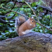 Shawn Park – “Greetings” – https://spark816.wixsite.com/website-2