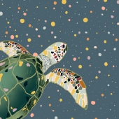 Abigail Howshar - "Turtle in Color” – https://abbyhows.wixsite.com/website