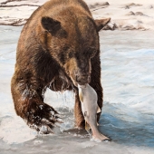 Hon. Mention - Sue Ryland – “Caught” – www.suerylandfineart.com