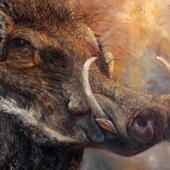 Hon. Mention - Elin Johnsen - "Common Warthog” – www.elinjohnsen.net