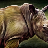 8th Place – Ilona Abou-Zolof – “African Rhino” – www.zolof.net