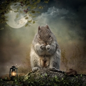 9th Place – Maggy Pease - "Bring it on” – https://maggy.myportfolio.com