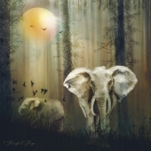 Hon. Mention - Meaghan Pryor - "Elephants” – www.theartinspires.com