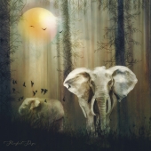 Hon. Mention - Meaghan Pryor - "Elephants” – www.theartinspires.com