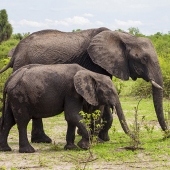 Robert Bolla - "Mother and Daughter Just Strolling” – https://fineartamerica.com/profiles/robert-bolla