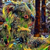 Holger Christen - "Koala No. 3” – holgerc2745@gmail.com