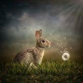 Maggy Pease - "Riley” – https://maggy.myportfolio.com/