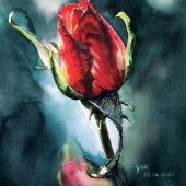 Yunwen Hu - "Rose” – saya.hu66@gmail.com