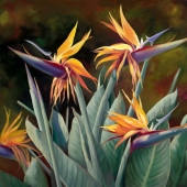 Laurie Snow Hein - "4 Birds of Paradise” – https://www.laurieheinartist.com/