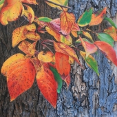 Pamela Clements - "Trunk Show” – https://www.apurpleleaf.com/