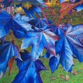 Pamela Clements - "In Blue Blazes” – https://www.apurpleleaf.com/