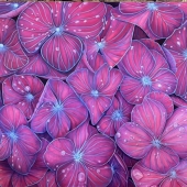 Nadine Surjik - "The Hive” – http://nadinesurjik.com/