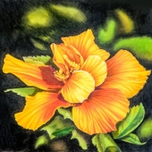 Duff Jennings - "Harbinger of Harmony” – http://www.duffjennings.com/