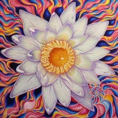 Kong Ho - "Waterlily with Zen Purity” – http://www.kongho.com/