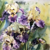 Yan Yin - "Summer Glory” – http://www.yinyan.studio/