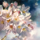 Kevin M.C Su - "Sakura” – https://www.facebook.com/artkevinsu