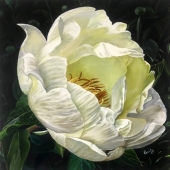 Cecily Slade - "Clarity” – http://www.cecilyslade.com/