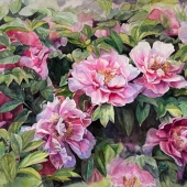 Jingyu Yang - "Beautiful with Sweet” – 15294667@qq.com