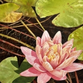 Mary Ellen Carrier - "Pretty in Pink” – http://meacarrier.wixsite.com/website