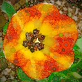 Cha Cha - "Popped Poppy” – chachamakesart@yahoo.com