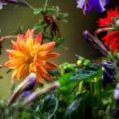 Rory Siegel - "Shining from the Shadows” – http://rory-siegel.pixels.com/