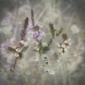 Silvija Treice - "Found in Iceland” – silviat@latnet.lv