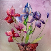 Carol Abel - "Iris” – https://www.instagram.com/cabelcat/