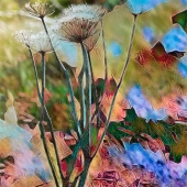 Jyl Blackwell - "Joyous” – https://jylart.square.site/