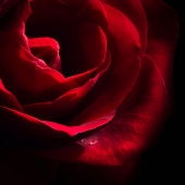 Gary Roland Hook - "Djewels” – http://garyrhook.com/