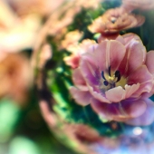 Y. Hope Osborn - "Looking Glass” – https://www.mediamosaicart.net/