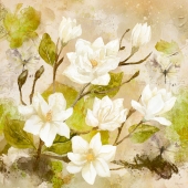 Barbara Mierau-Klein - "Magnolia Spring” – http://www.barbaramierauklein.com/