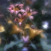 Wayne King - "Day Lilies in the Fog” – http://www.waynedking.com/