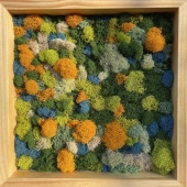 Amanda June – “Natural View” - http://www.ajuneart.com/