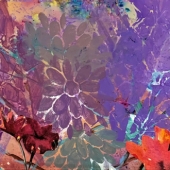 Barbara T Hart - "Seasonal Delights” – http://www.barbaraphelpshart.com/