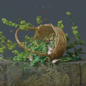 Xiangdong Liu - "Cai Wei Tu (Picking Osmund)” – huixuanliu0612@gmail.com