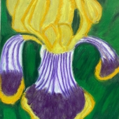 Janet Blackwell - "Purple and Yellow Iris” – iinternational1122@yahoo.com