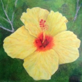 Pat Cabana Silva - "Hibiscus I” – http://www.patsilvaartstudio.etsy.com/