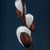 Krista Oremus - "Hello Spring” – https://kristaoremus.com/