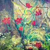 Jocasta Shakespeare - "Feral Garden” – jocasta.shakespeare@gmail.com