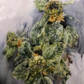 Jiang Xuqing - "Life and Growth in Nature” – 925244228@qq.com