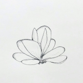 Lily Sanders - "Flapjack Plant” – lms.sanders11@gmail.com