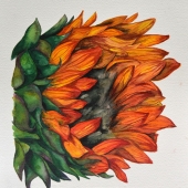 Cailyn Ferguson - "Evening Colors” – http://www.odellfergusonstudios.com/