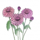 Katherine Pirrello - "Garden Delight” – Kathyp1959@aol.com