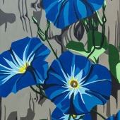 Barbara Schmidt - "Morning Glories” – https://www.facebook.com/artbybarbaraschmidt/